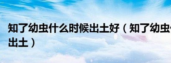 知了幼虫什么时候出土好（知了幼虫什么时候出土）