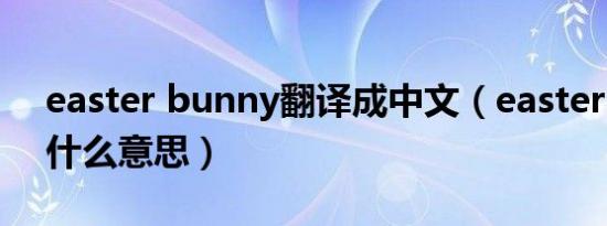 easter bunny翻译成中文（easter bunny什么意思）