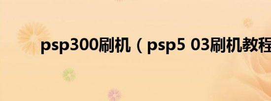 psp300刷机（psp5 03刷机教程）