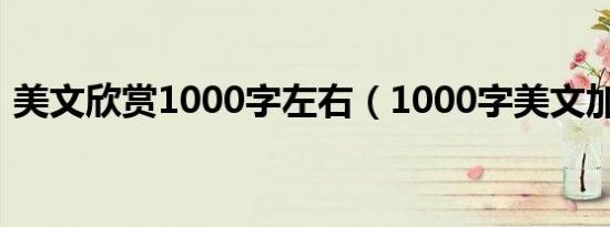 美文欣赏1000字左右（1000字美文加赏析）