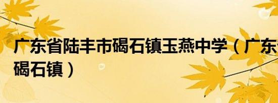 广东省陆丰市碣石镇玉燕中学（广东省陆丰市碣石镇）