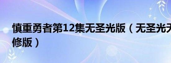 慎重勇者第12集无圣光版（无圣光无圣雾无修版）