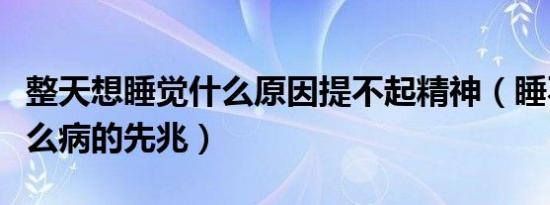 整天想睡觉什么原因提不起精神（睡不醒是什么病的先兆）