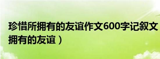 珍惜所拥有的友谊作文600字记叙文（珍惜所拥有的友谊）