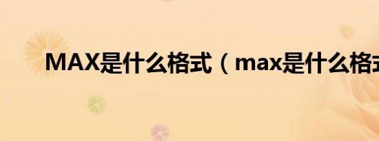 MAX是什么格式（max是什么格式）