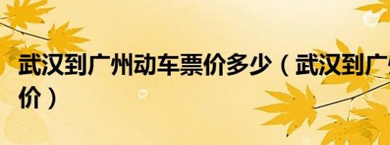 武汉到广州动车票价多少（武汉到广州动车票价）