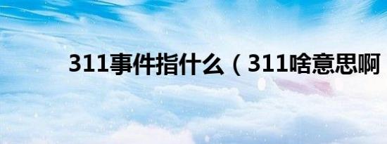 311事件指什么（311啥意思啊）