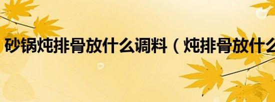 砂锅炖排骨放什么调料（炖排骨放什么调料）