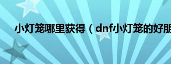 小灯笼哪里获得（dnf小灯笼的好朋友）