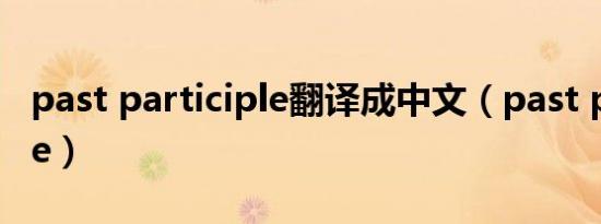 past participle翻译成中文（past participle）