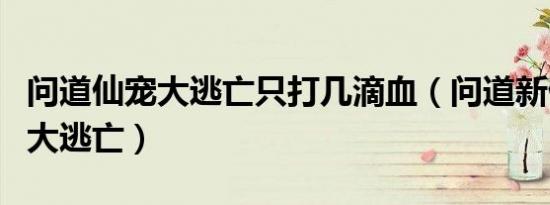 问道仙宠大逃亡只打几滴血（问道新仙界宠物大逃亡）