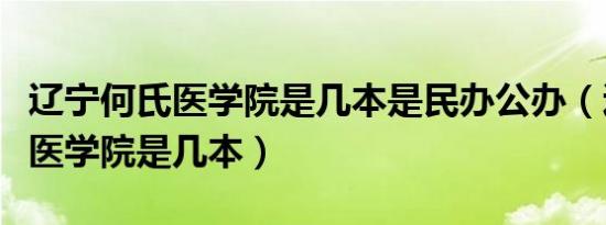 辽宁何氏医学院是几本是民办公办（辽宁何氏医学院是几本）