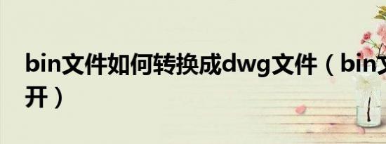 bin文件如何转换成dwg文件（bin文件打不开）