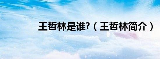 王哲林是谁?（王哲林简介）