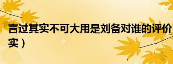 言过其实不可大用是刘备对谁的评价（言过其实）