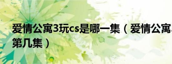 爱情公寓3玩cs是哪一集（爱情公寓3打cs是第几集）