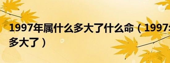 1997年属什么多大了什么命（1997年属什么多大了）