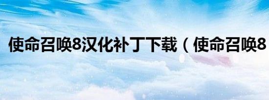 使命召唤8汉化补丁下载（使命召唤8 汉化）