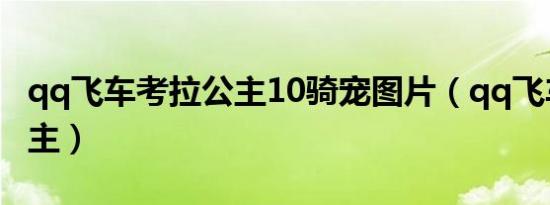 qq飞车考拉公主10骑宠图片（qq飞车考拉公主）