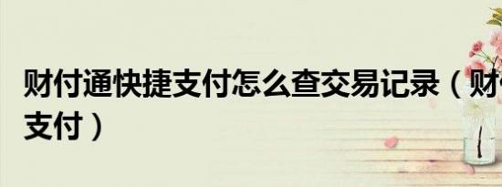 财付通快捷支付怎么查交易记录（财付通快捷支付）