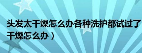 头发太干燥怎么办各种洗护都试过了（头发太干燥怎么办）