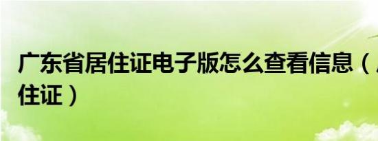 广东省居住证电子版怎么查看信息（广东省居住证）