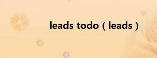 leads todo（leads）