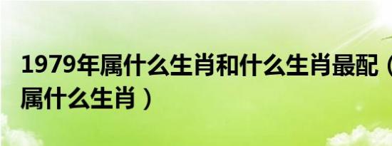 1979年属什么生肖和什么生肖最配（1979年属什么生肖）