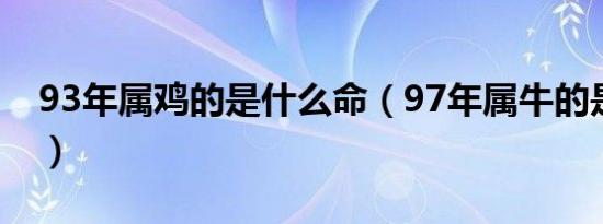 93年属鸡的是什么命（97年属牛的是什么命）