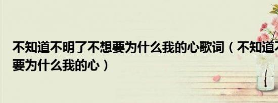 不知道不明了不想要为什么我的心歌词（不知道不明了不想要为什么我的心）