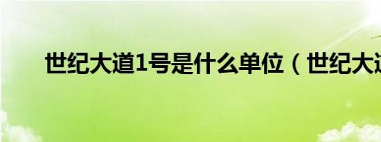 世纪大道1号是什么单位（世纪大道）