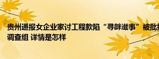 贵州通报女企业家讨工程款陷“寻衅滋事”被批捕：已成立调查组 详情是怎样