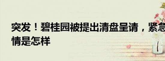 突发！碧桂园被提出清盘呈请，紧急回应 详情是怎样