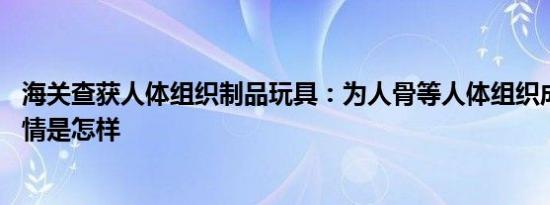 海关查获人体组织制品玩具：为人骨等人体组织成分制成 详情是怎样