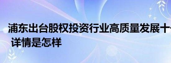 浦东出台股权投资行业高质量发展十一条举措 详情是怎样