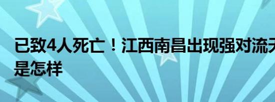 已致4人死亡！江西南昌出现强对流天气 详情是怎样