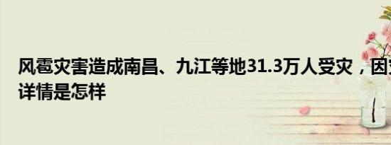 风雹灾害造成南昌、九江等地31.3万人受灾，因灾死亡7人 详情是怎样