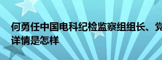 何勇任中国电科纪检监察组组长、党组成员 详情是怎样