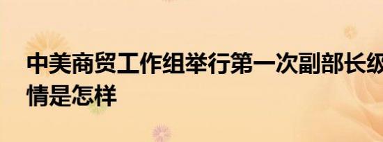 中美商贸工作组举行第一次副部长级会议 详情是怎样