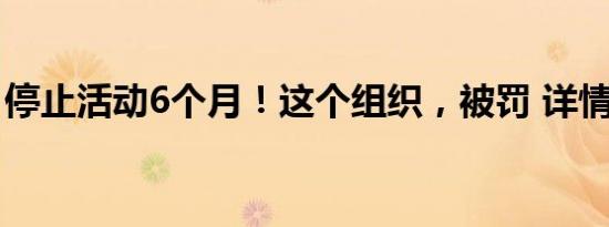 停止活动6个月！这个组织，被罚 详情是怎样