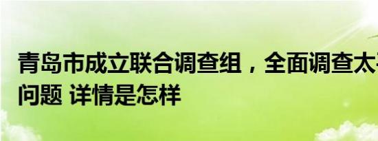 青岛市成立联合调查组，全面调查太平陵公墓问题 详情是怎样