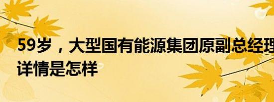 59岁，大型国有能源集团原副总经理被查！ 详情是怎样