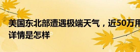 美国东北部遭遇极端天气，近50万用户断电 详情是怎样