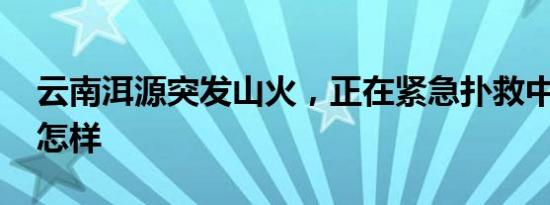 云南洱源突发山火，正在紧急扑救中 详情是怎样