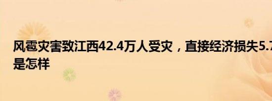 风雹灾害致江西42.4万人受灾，直接经济损失5.7亿元 详情是怎样