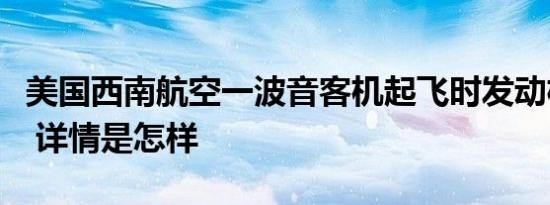 美国西南航空一波音客机起飞时发动机罩脱落 详情是怎样