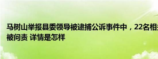 马树山举报县委领导被逮捕公诉事件中，22名相关责任人员被问责 详情是怎样