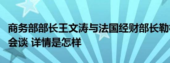 商务部部长王文涛与法国经财部长勒梅尔举行会谈 详情是怎样