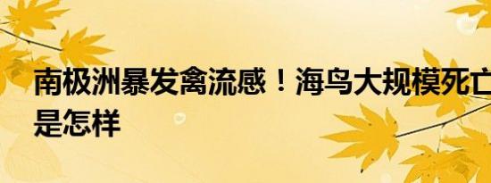 南极洲暴发禽流感！海鸟大规模死亡→ 详情是怎样