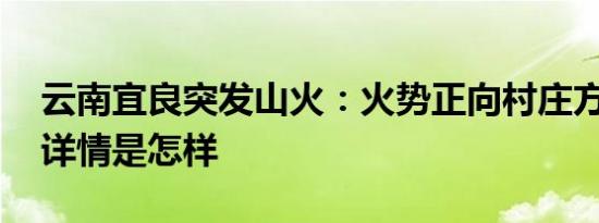 云南宜良突发山火：火势正向村庄方向蔓延 详情是怎样